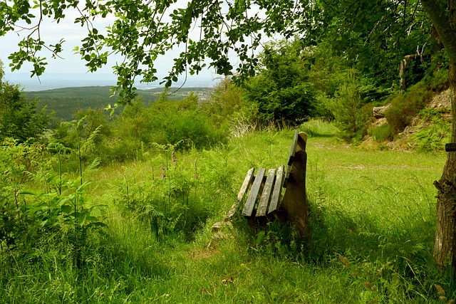 并在奥运会 并在奥运会