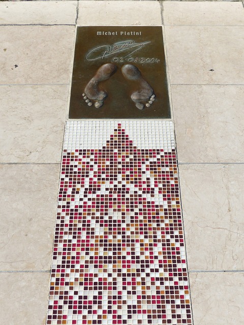 米利西奇或成为中国女足新帅 前澳大利亚女足主帅强势领跑.