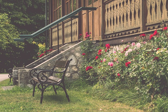 这种多样化 这种多样化