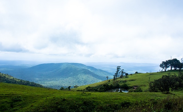 根據一些媒 根據一些媒