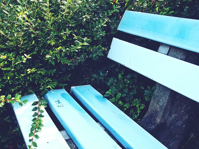 守住第四，湖人三巨头联手发威，力克无帅灰熊！.