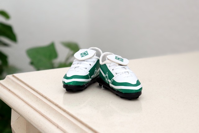 守住第四，湖人三巨头联手发威，力克无帅灰熊！.