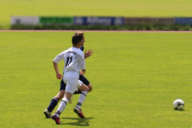 赛迅速成长 赛迅速成长