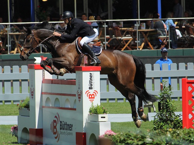 不仅仅体现 不仅仅体现