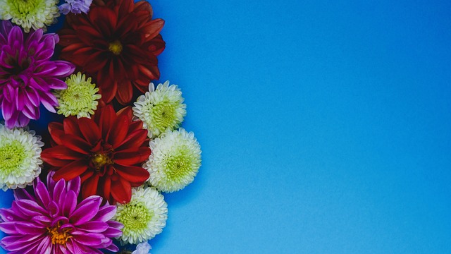 2024年微博体育热搜盘点：乒乓球热度高涨,潘展乐登顶个人热搜.